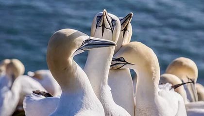 义乌最新公积金卡提取方法分析(最方便真实的义乌公积金卡提取后还可以继续使用吗方法)