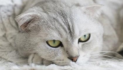 义乌最新惠民保医疗险方法分析(最方便真实的义乌惠民保作用方法)