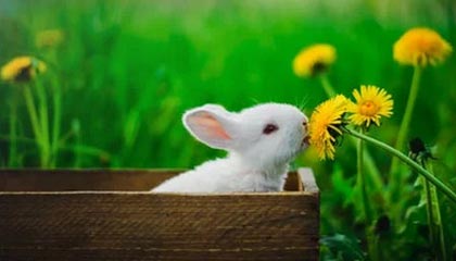 义乌最新公积金卡提取现金操作及规定方法分析(最方便真实的义乌公积金卡提取现金操作及规定是什么方法)